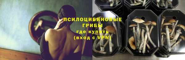 мдма Ладушкин