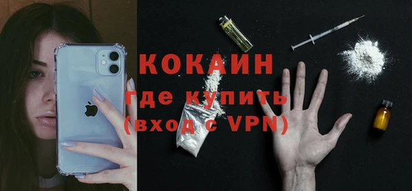 дживик Лагань
