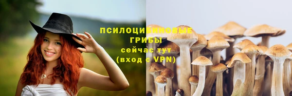 твердый Кукмор