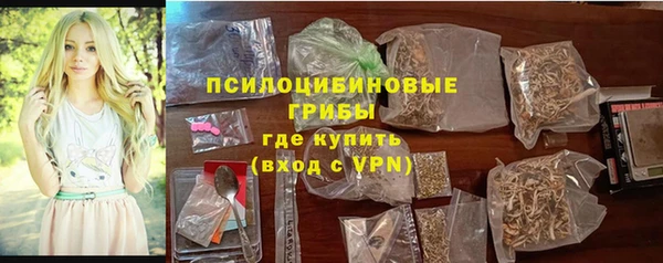 шишки Лабытнанги