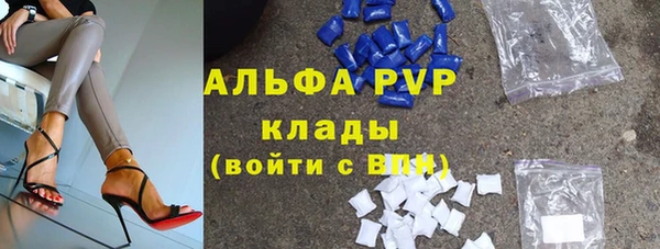 шишки Лабытнанги