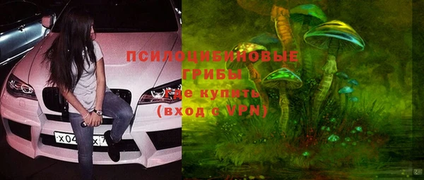 шишки Лабытнанги