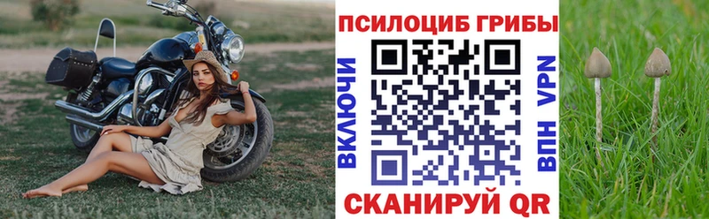 Галлюциногенные грибы мицелий  дарнет шоп  Липки 